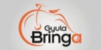 GyulaBringa-logo-e1489492184863.jpg